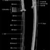 Learn About The Katana Part